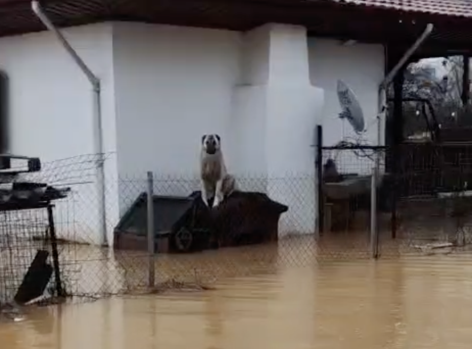 ekran-resmi-2026-01-30-13-31-34