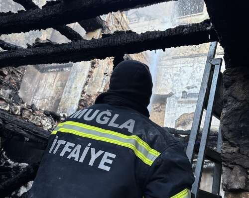 whatsapp-image-2026-02-03-at-10-42-03