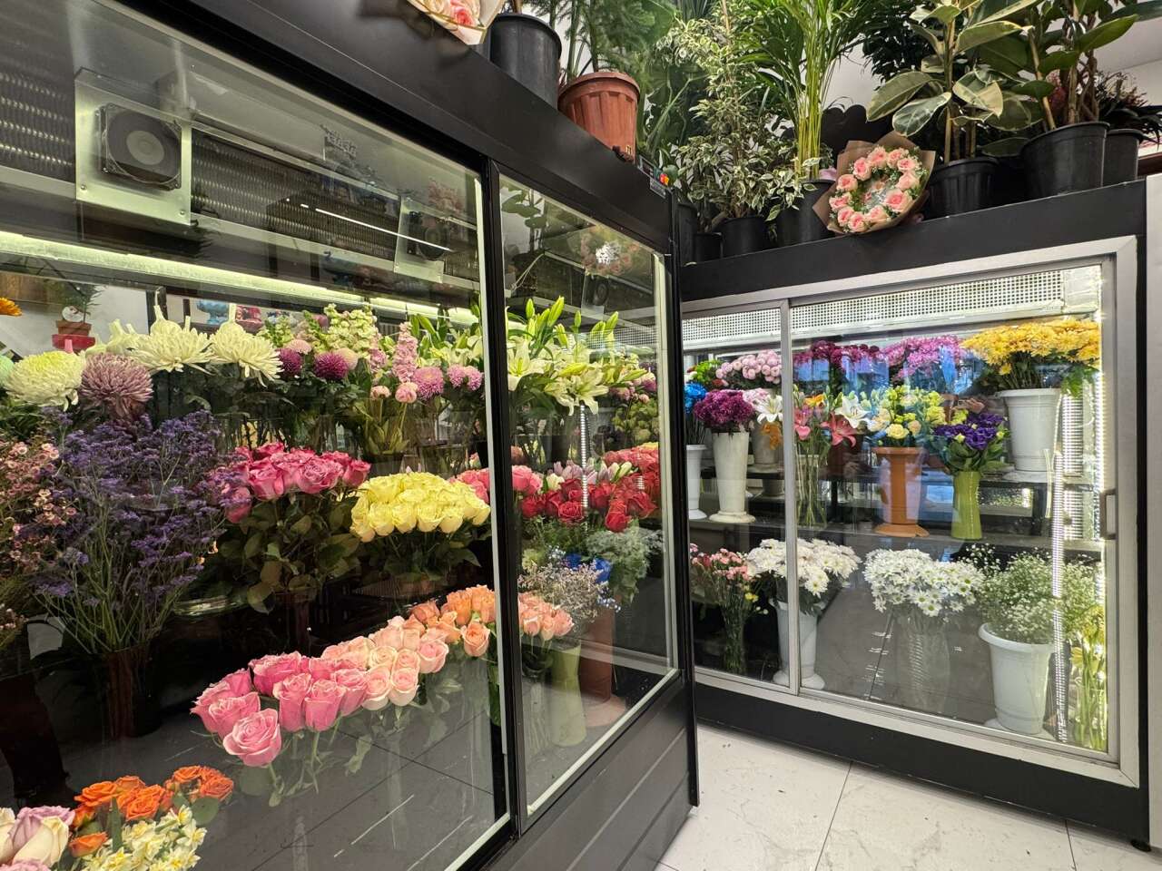 whatsapp-image-2026-02-05-at-14-45-18