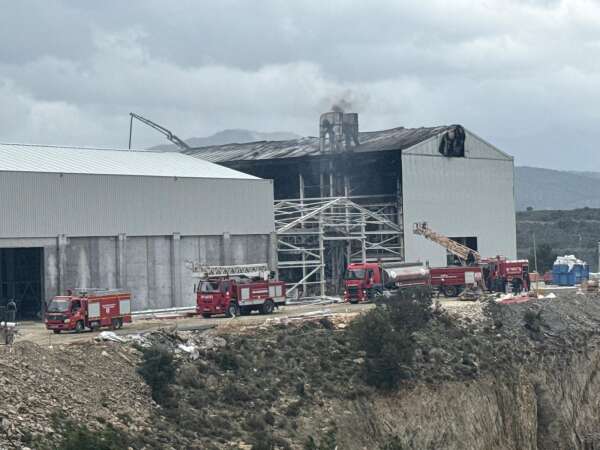 whatsapp-image-2026-02-05-at-15-58-19