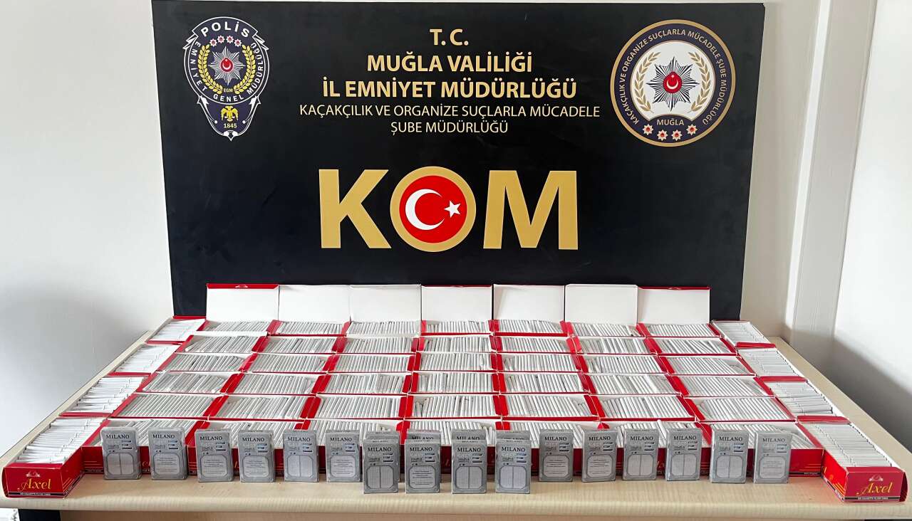 whatsapp-image-2026-02-06-at-12-25-17-1