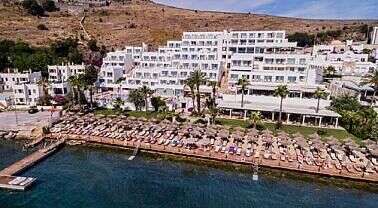 whatsapp-image-2026-02-08-at-21-54-52