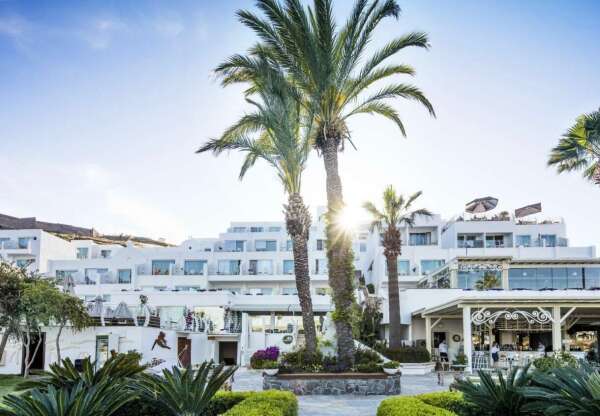 whatsapp-image-2026-02-08-at-21-54-53