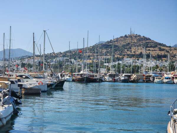 whatsapp-image-2026-02-09-at-12-01-44-1