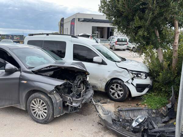 whatsapp-image-2026-02-11-at-16-05-36