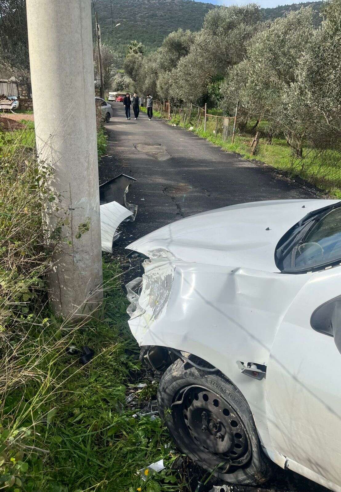 whatsapp-image-2026-02-12-at-12-10-32