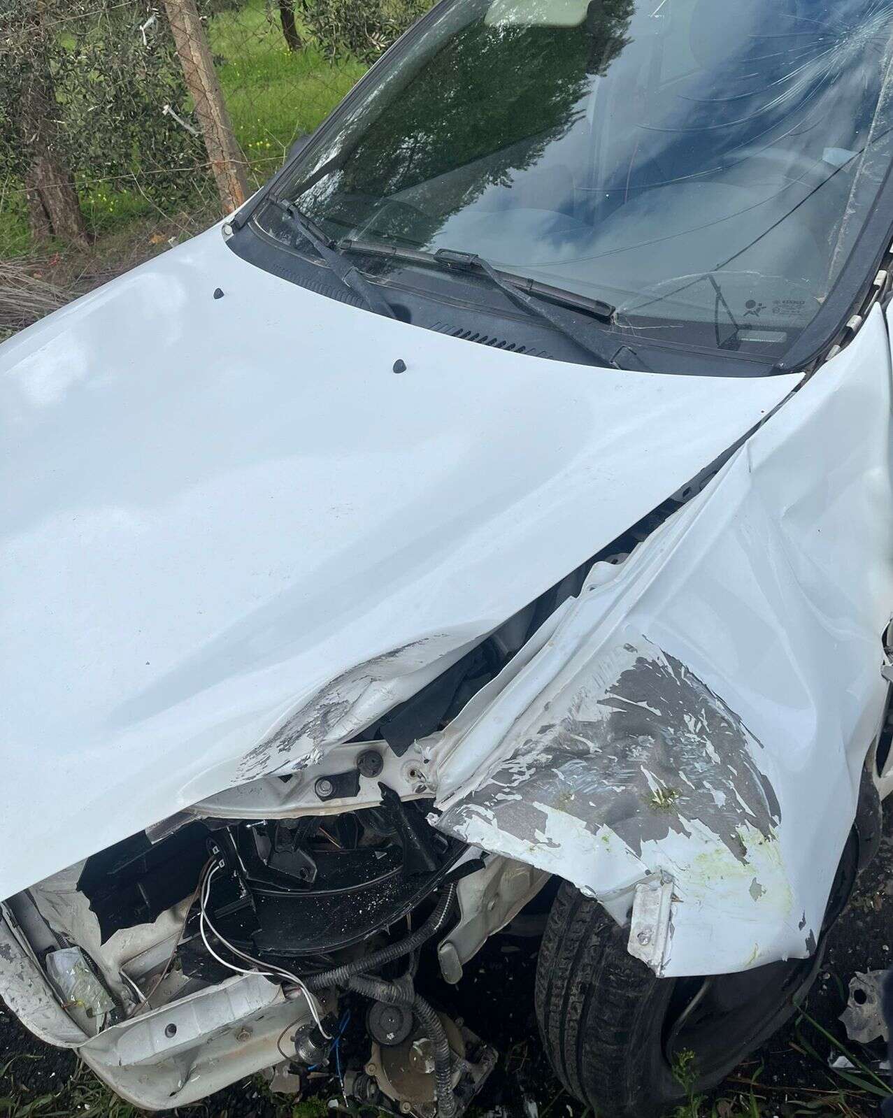 whatsapp-image-2026-02-12-at-12-10-33