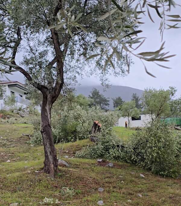 whatsapp-image-2026-02-13-at-20-23-58