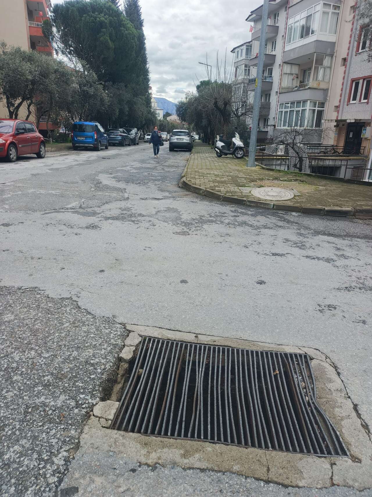 whatsapp-image-2026-02-14-at-16-57-06