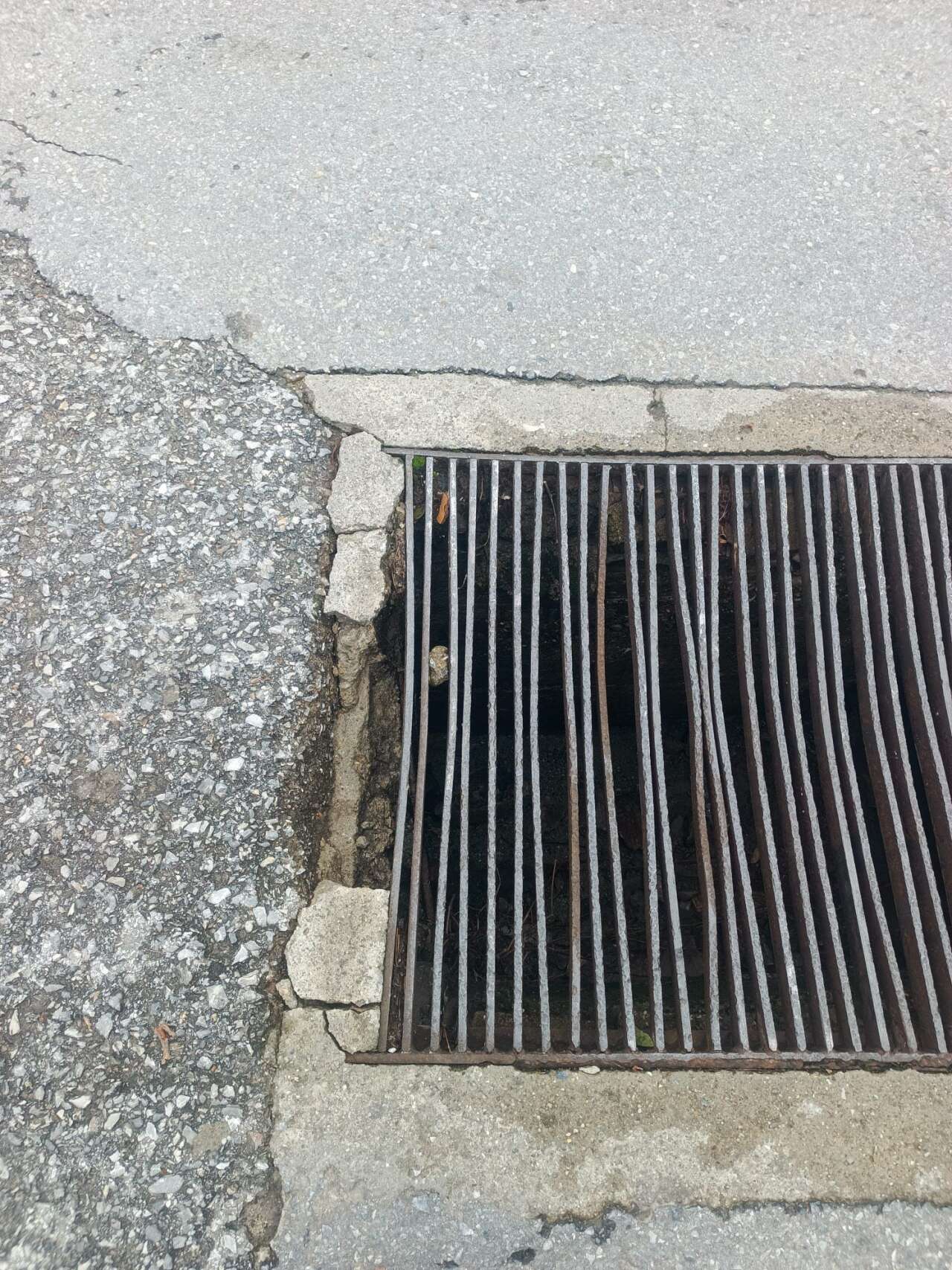 whatsapp-image-2026-02-14-at-16-59-56