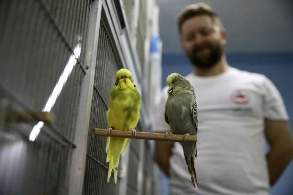 aa-20260215-40560570-40560556-hobisi-olan-muhabbet-kuslarina-evinin-ustune-koydugu-konteynerde-bakiyor