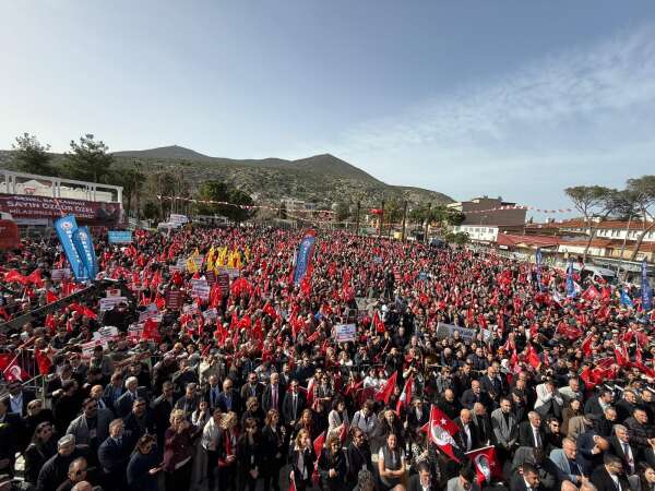 whatsapp-image-2026-02-15-at-16-15-28