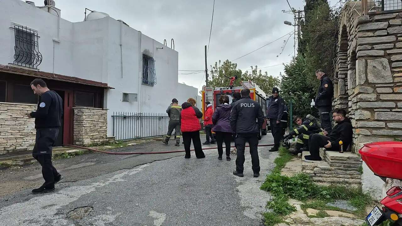 whatsapp-image-2026-02-15-at-17-53-31-1