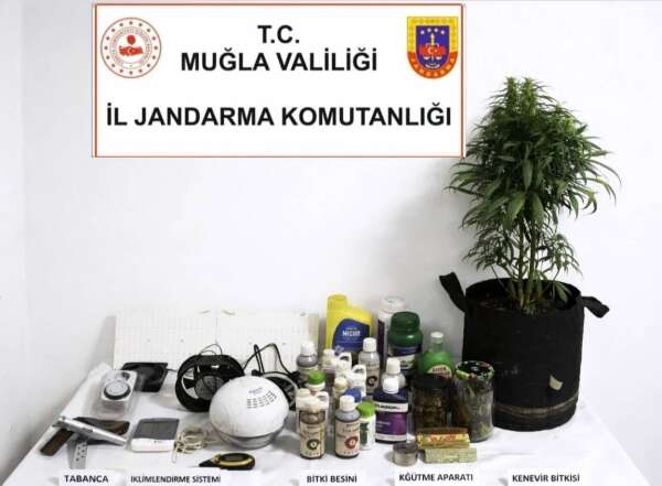 whatsapp-image-2026-02-16-at-14-14-11-1