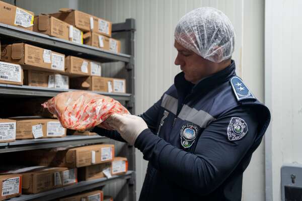 whatsapp-image-2026-02-16-at-16-14-36