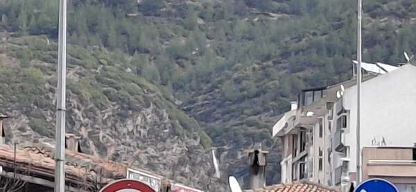 whatsapp-image-2026-02-18-at-11-49-49