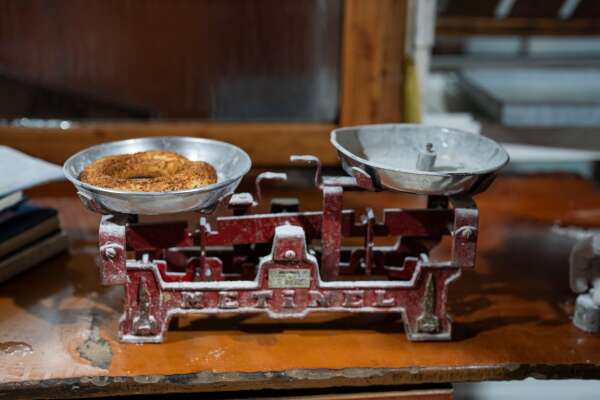 whatsapp-image-2026-02-18-at-14-02-58