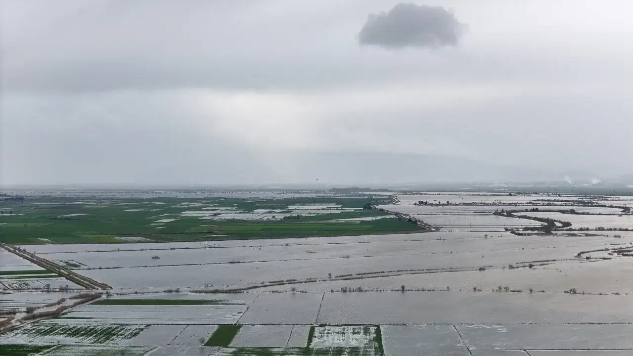 aydinda-inanilmaz-olay-1-hafta-damda-yasam-mucadelesi-verdi-tesadufen-fark-edildi-3283135-202602190828-2