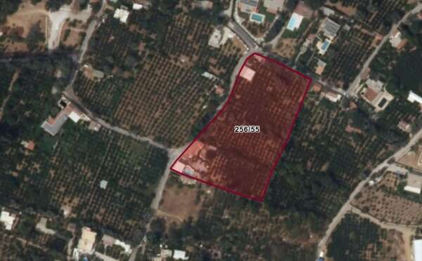 whatsapp-image-2026-02-19-at-10-38-22-1