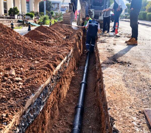 whatsapp-image-2026-02-19-at-14-49-18