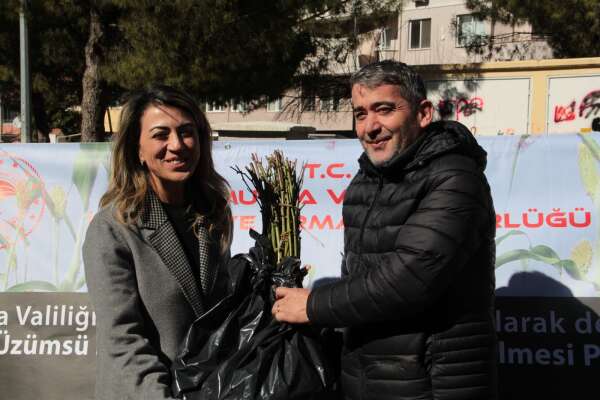 whatsapp-image-2026-02-19-at-15-04-10-1