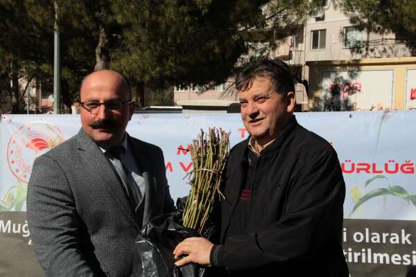 whatsapp-image-2026-02-19-at-15-04-10