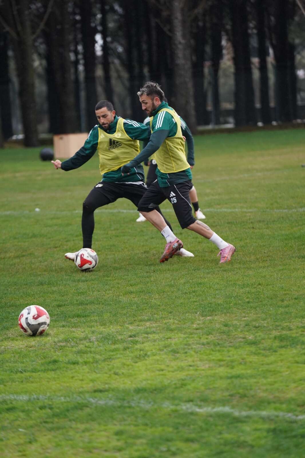 whatsapp-image-2026-02-19-at-15-41-58-1