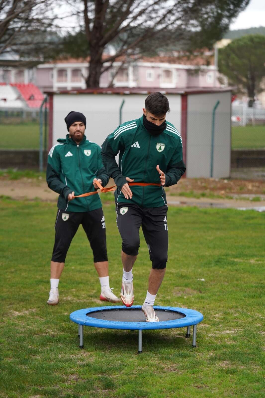 whatsapp-image-2026-02-19-at-15-41-58