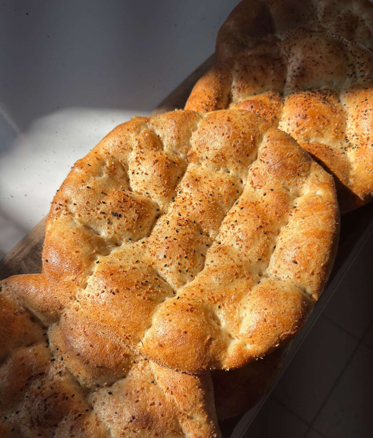 whatsapp-image-2026-02-19-at-16-08-20