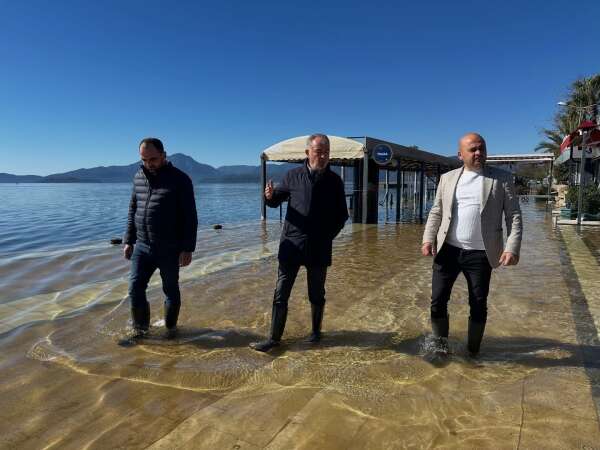 whatsapp-image-2026-02-19-at-18-33-41