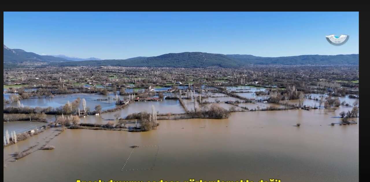 whatsapp-image-2026-02-19-at-20-27-59-1