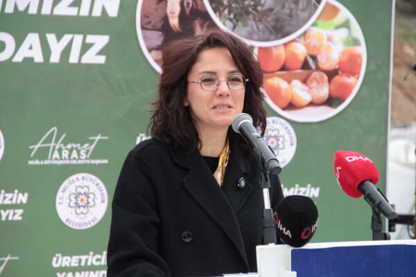 whatsapp-image-2026-02-20-at-11-56-36