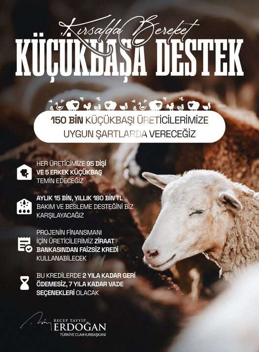 641428789-1454588702702845-9045685214347703305-n