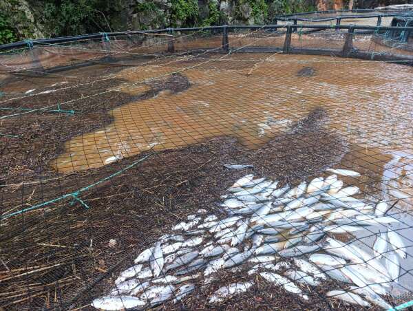 aa-20260221-40629341-40629339-dalaman-akkopru-barajindan-kontrollu-su-tahliyesi-yapiliyor