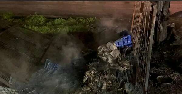 whatsapp-image-2026-02-22-at-22-57-51-2