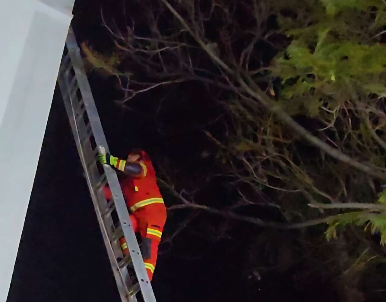 whatsapp-image-2026-02-23-at-08-59-32-2