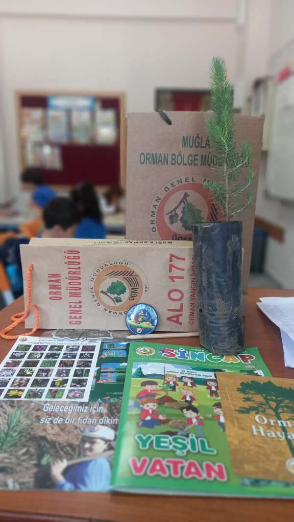 whatsapp-image-2026-02-25-at-09-53-03