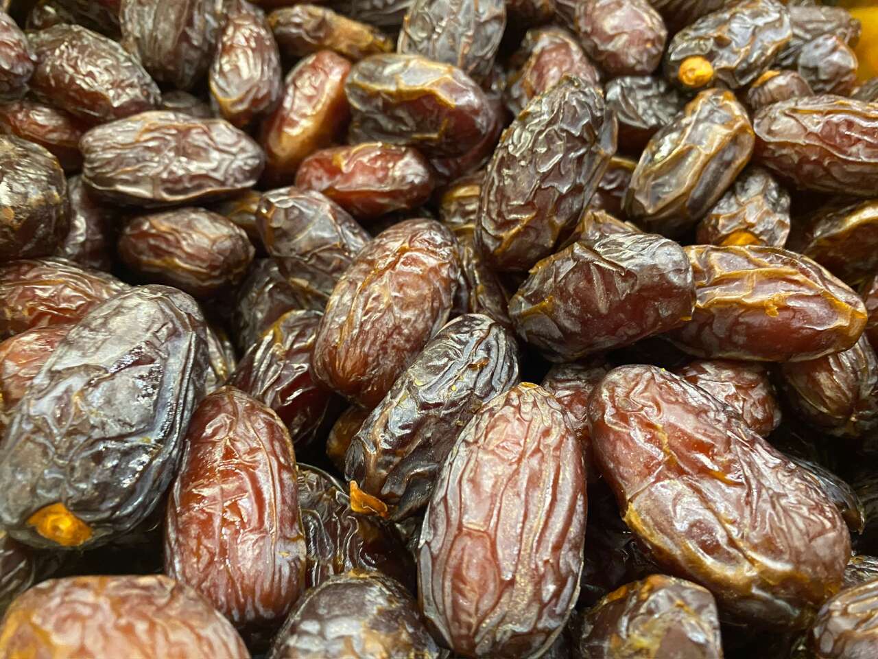 whatsapp-image-2026-02-25-at-15-38-02-2