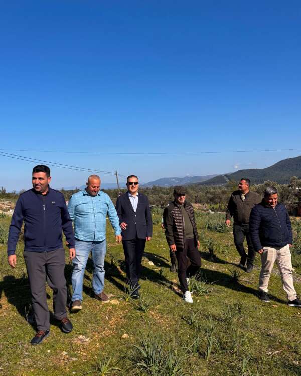 whatsapp-image-2026-03-01-at-18-26-56-1