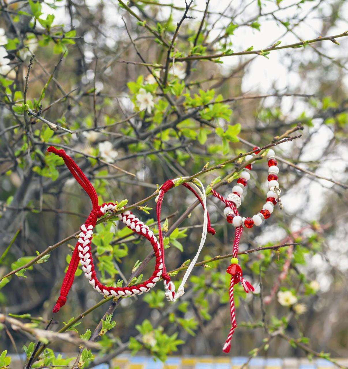 whatsapp-image-2026-03-04-at-18-56-04