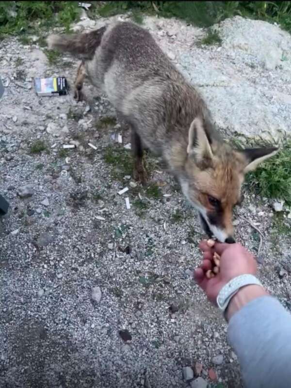 whatsapp-image-2026-03-06-at-11-00-27-1