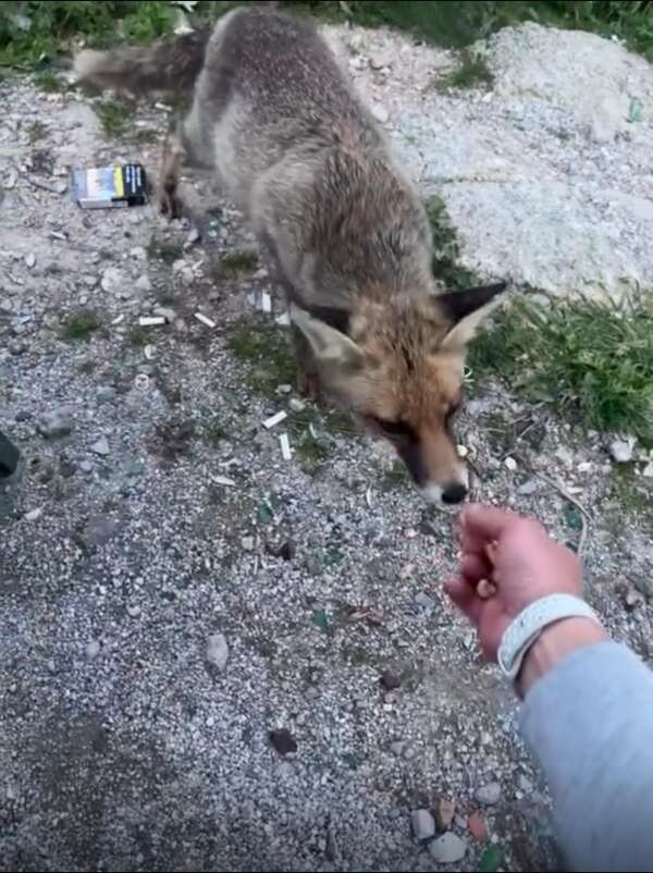 whatsapp-image-2026-03-06-at-11-00-27