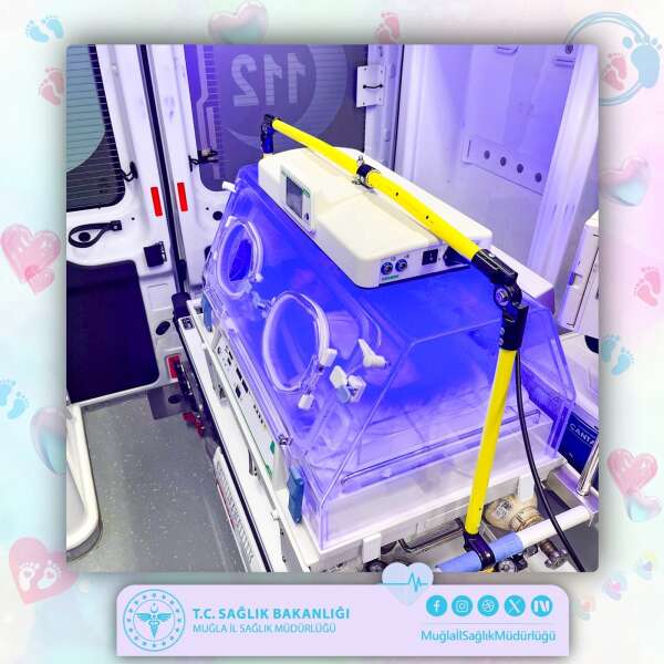 whatsapp-image-2026-03-11-at-16-25-10