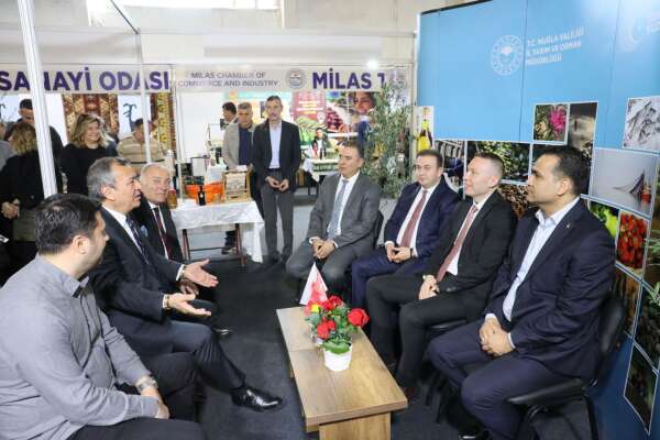 whatsapp-image-2026-03-13-at-11-17-42