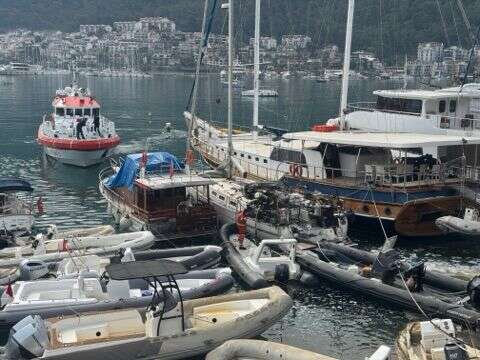 whatsapp-image-2026-03-15-at-13-31-48-2