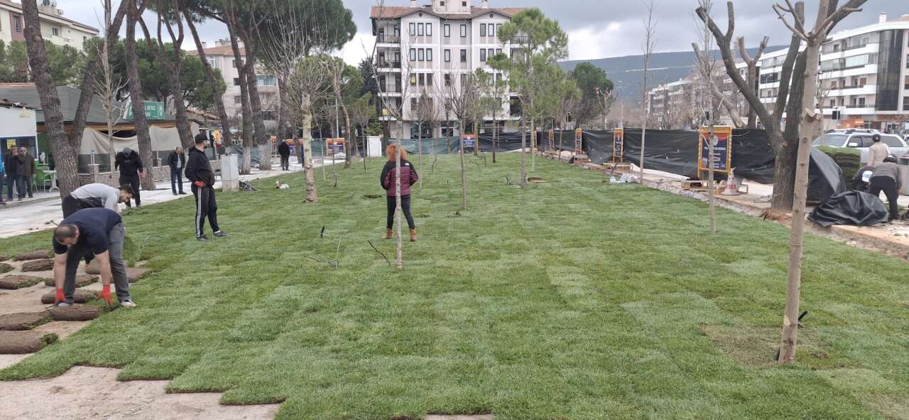 whatsapp-image-2026-03-17-at-17-53-31