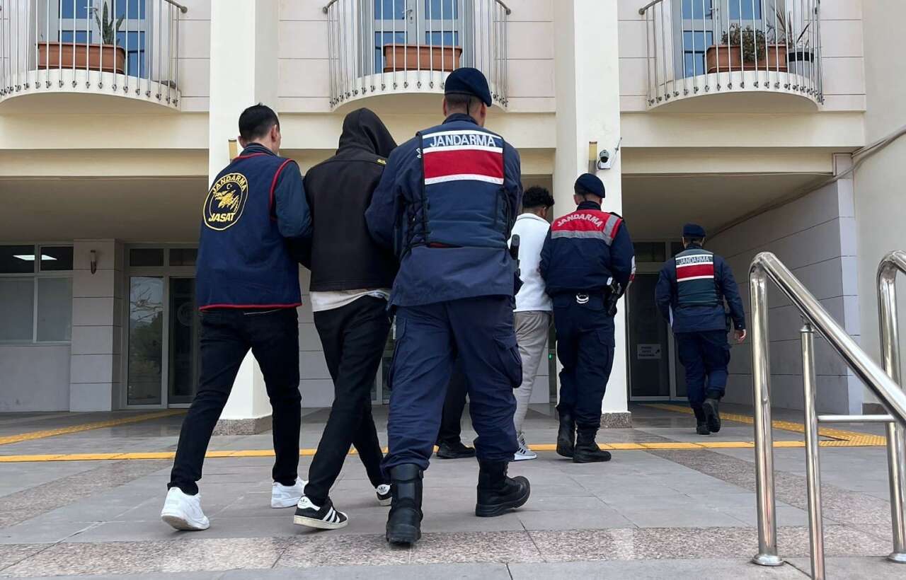 whatsapp-image-2026-03-19-at-16-31-26