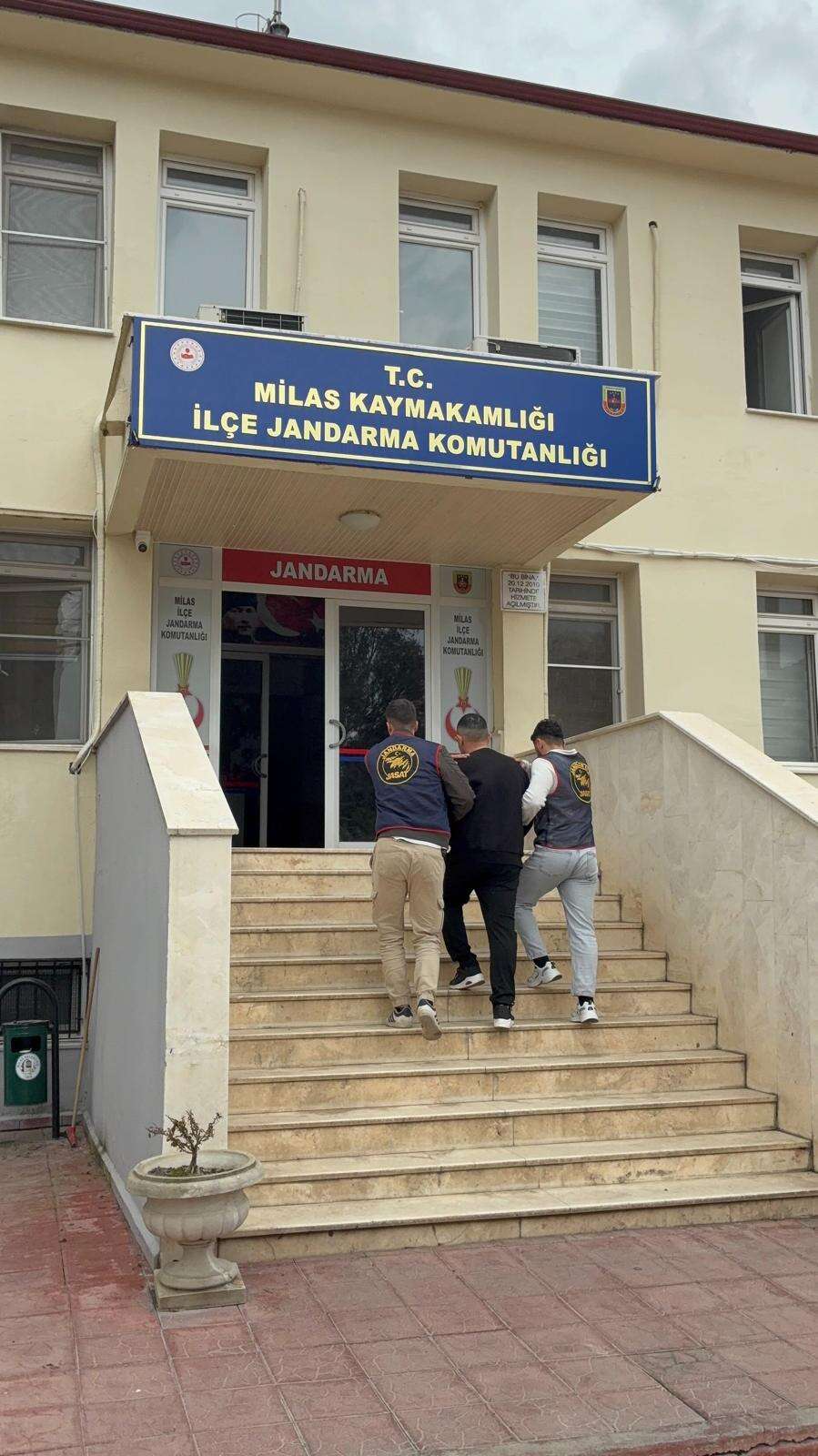 whatsapp-image-2026-03-23-at-11-14-53