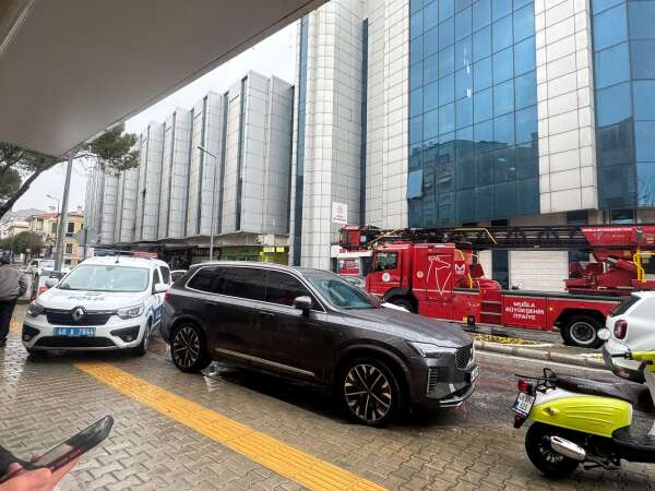 whatsapp-image-2026-03-23-at-17-50-45