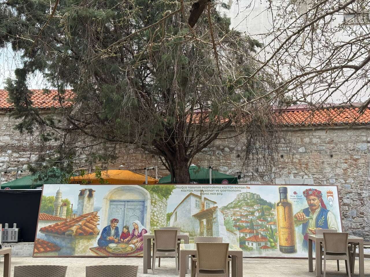 whatsapp-image-2026-03-27-at-14-58-38